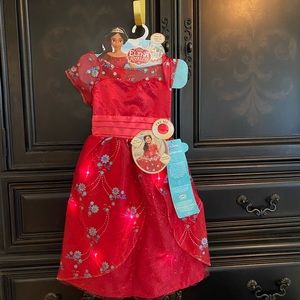 Disney Costume Elena